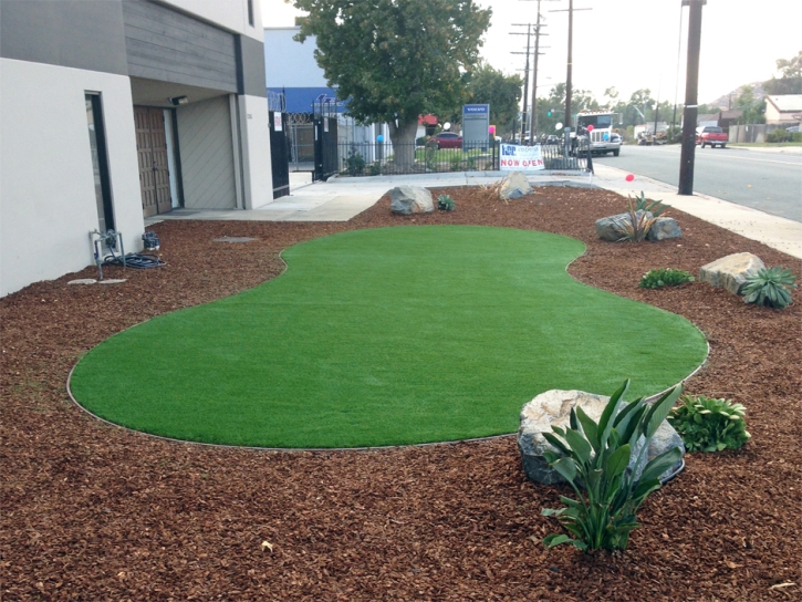 Artificial Grass Carpet Newman, California Backyard Deck Ideas, Commercial Landscape