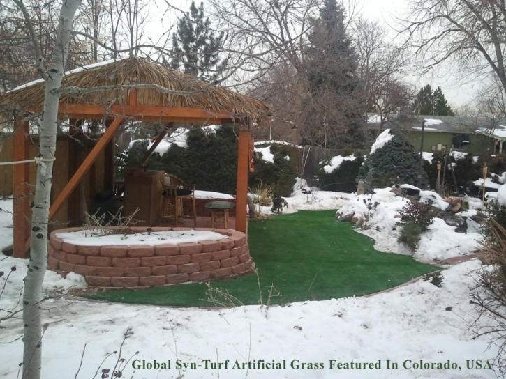 Artificial Grass Carpet Patterson, California Lawns, Backyard Ideas