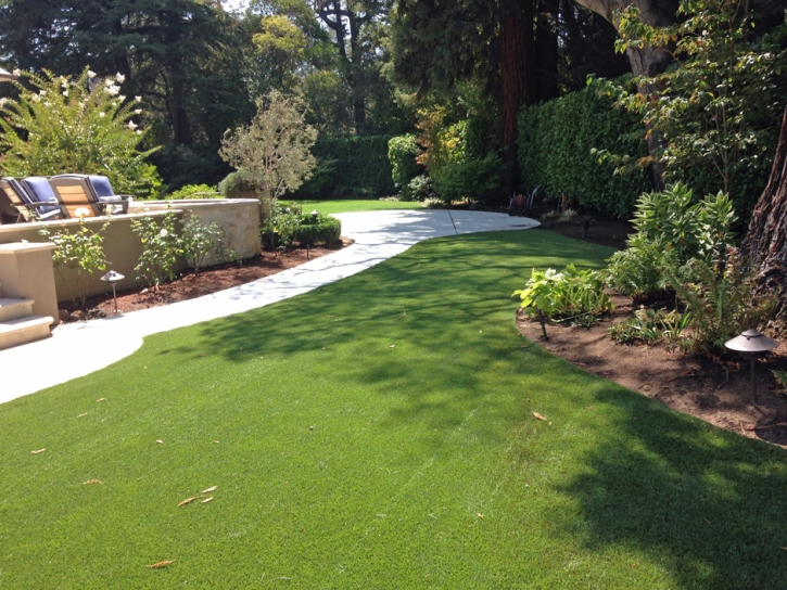 Artificial Grass Carpet Riverdale Park, California Paver Patio, Backyard