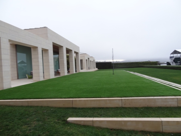 Artificial Grass Carpet Valley Home, California Garden Ideas, Commercial Landscape