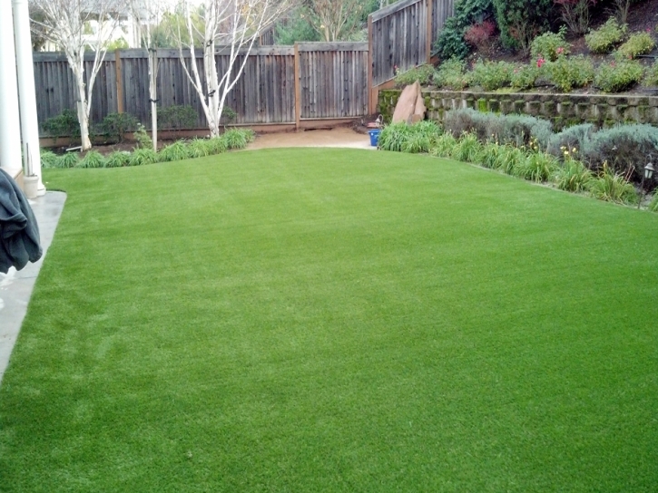 Artificial Grass Carpet Valley Home, California Landscaping Business, Backyard Landscaping