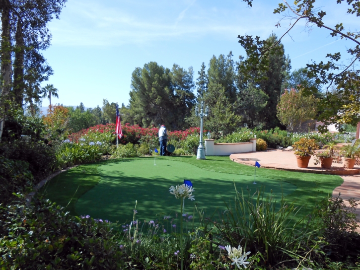 Artificial Grass Carpet West Modesto, California How To Build A Putting Green, Backyard Landscape Ideas