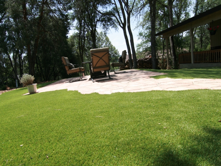 Artificial Grass Crows Landing, California Landscaping, Backyard Design