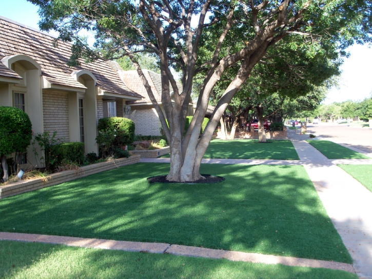 Artificial Grass Denair, California City Landscape, Front Yard Design