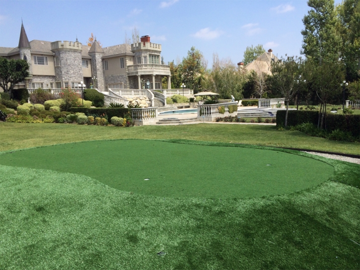 Artificial Grass Empire, California Landscaping Business, Front Yard Landscaping Ideas