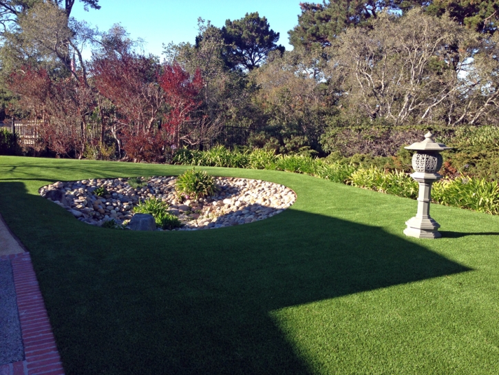 Artificial Grass Grayson, California Landscape Design, Backyard Landscaping Ideas