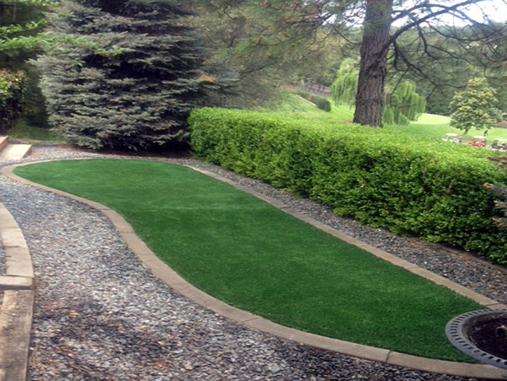 Artificial Grass Grayson, California Landscape Design