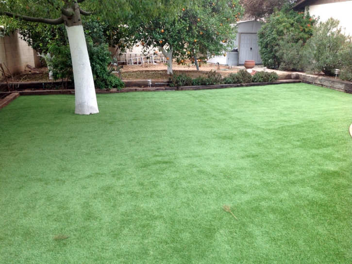 Artificial Grass Grayson, California Landscaping, Backyard