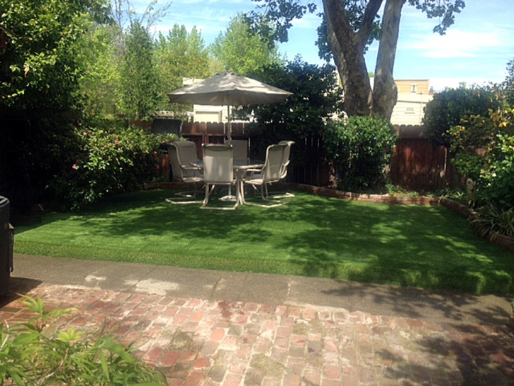 Artificial Grass Hughson, California City Landscape, Backyards