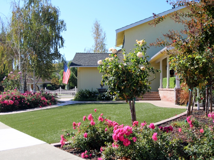 Artificial Grass Installation Ceres, California City Landscape, Front Yard Landscaping Ideas