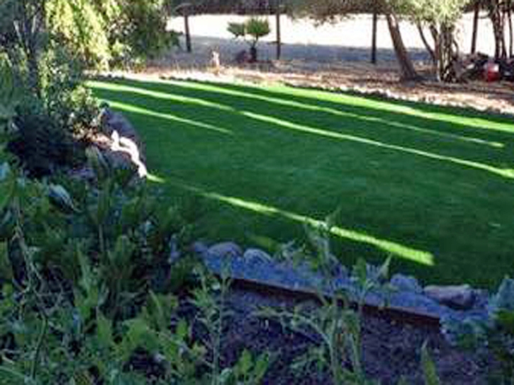 Artificial Grass Installation East Oakdale, California Design Ideas, Backyard Ideas