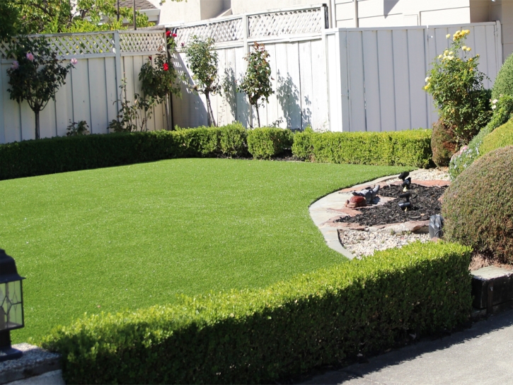 Artificial Grass Installation Hickman, California Design Ideas, Backyard