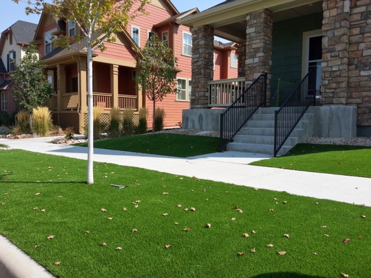 Artificial Grass Installation Modesto, California Landscaping Business, Landscaping Ideas For Front Yard