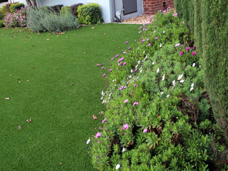 Artificial Grass Installation Modesto, California Gardeners, Front Yard Design