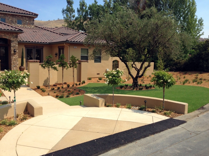 Artificial Grass Installation Modesto, California Roof Top, Front Yard Landscaping Ideas