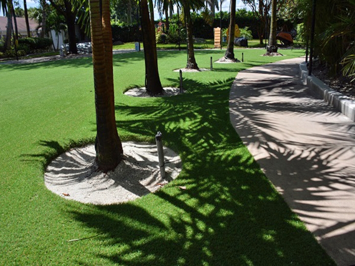 Artificial Grass Patterson, California Dog Run, Commercial Landscape