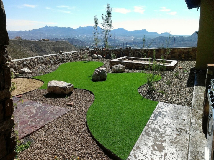 Artificial Grass Riverdale Park, California Landscape Design, Backyard Makeover