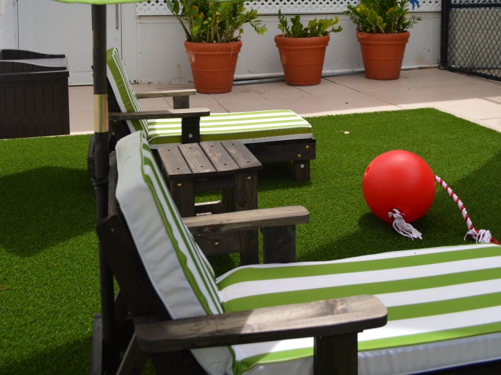 Artificial Grass Salida, California Landscape Design, Patio