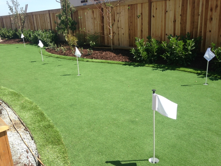 Artificial Grass Turlock, California Artificial Putting Greens, Backyard Makeover