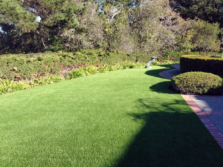 Artificial Grass Waterford, California Backyard Playground, Front Yard Design