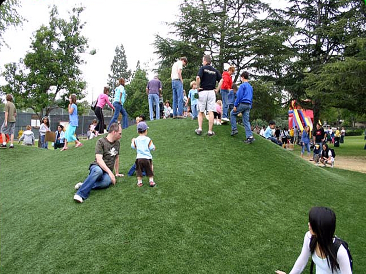 Artificial Grass West Modesto, California Garden Ideas, Parks