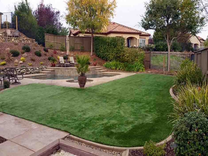 Artificial Lawn Denair, California Paver Patio, Backyard Garden Ideas