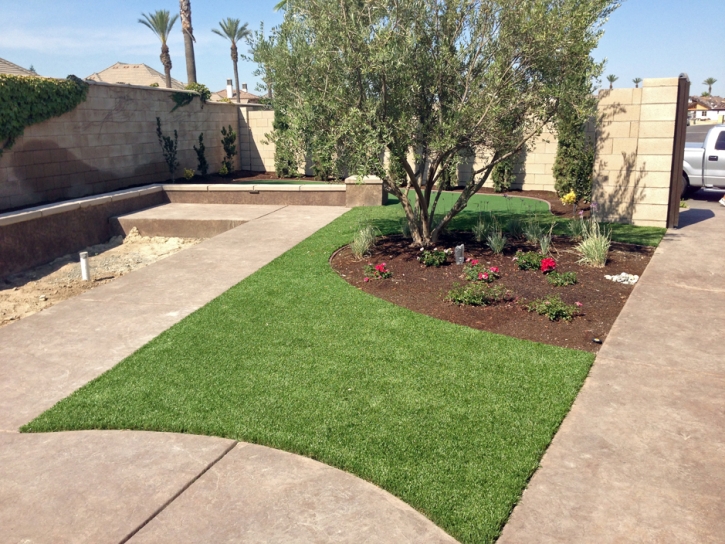 Artificial Lawn Modesto, California Landscaping, Front Yard Design