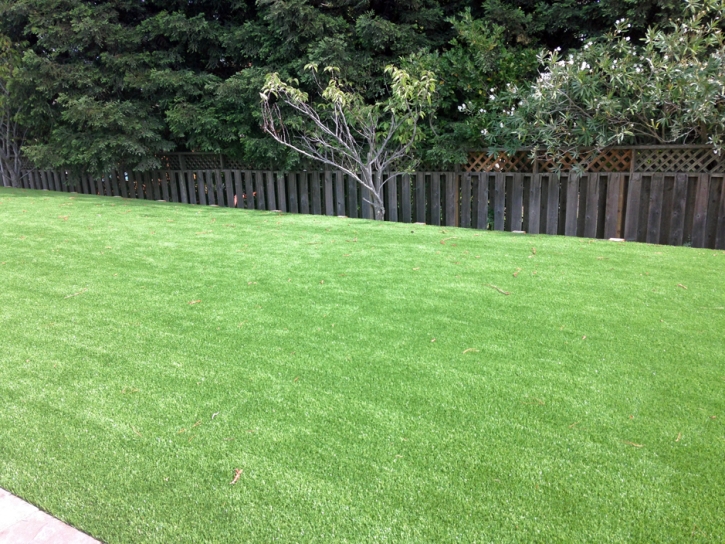 Artificial Lawn Patterson, California Design Ideas, Backyards