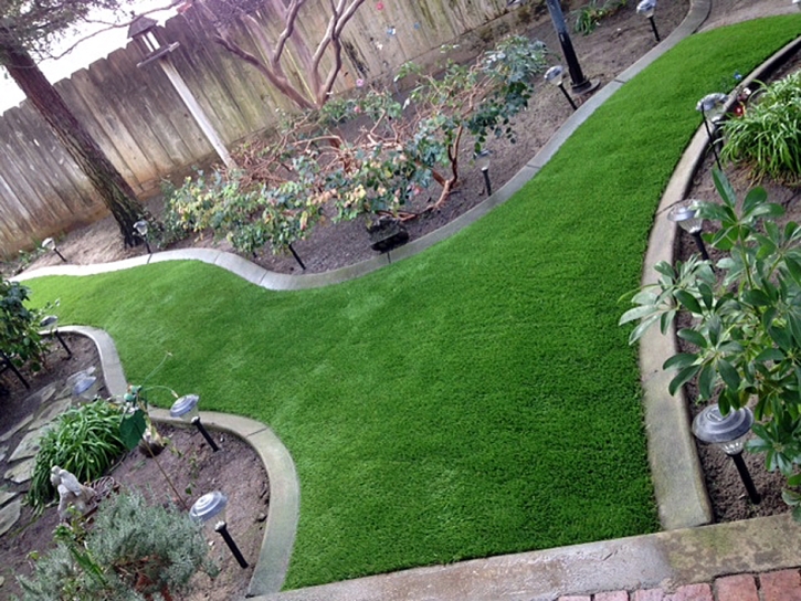 Artificial Lawn Shackelford, California Landscaping Business, Backyard Landscaping Ideas