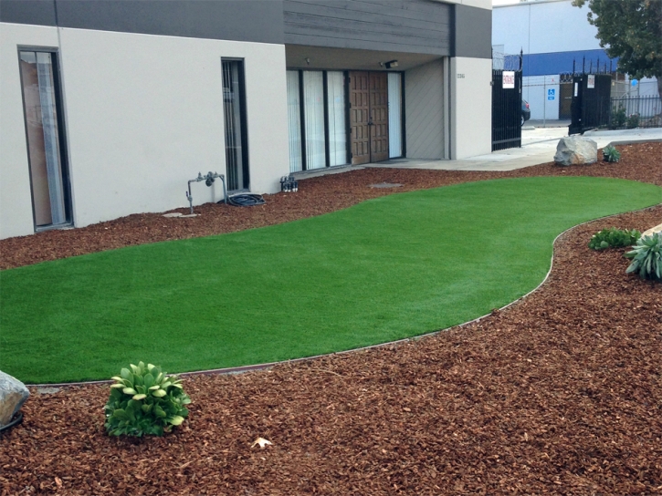 Artificial Lawn Waterford, California Design Ideas, Commercial Landscape