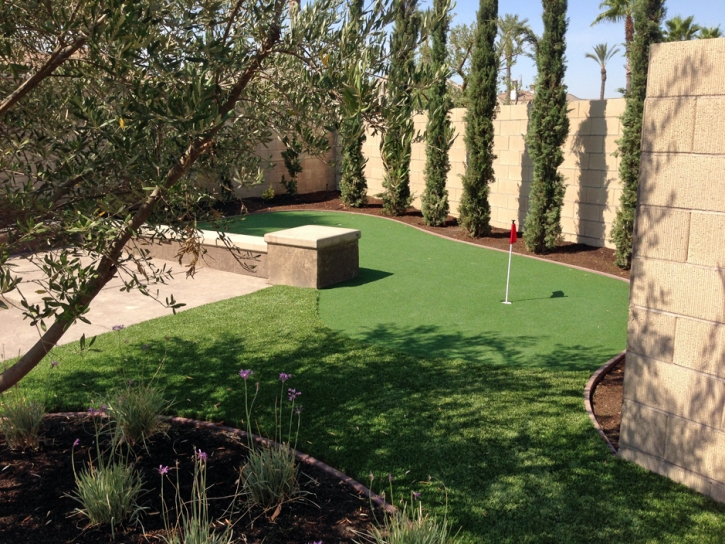 Artificial Lawn Waterford, California Putting Green Flags, Backyards