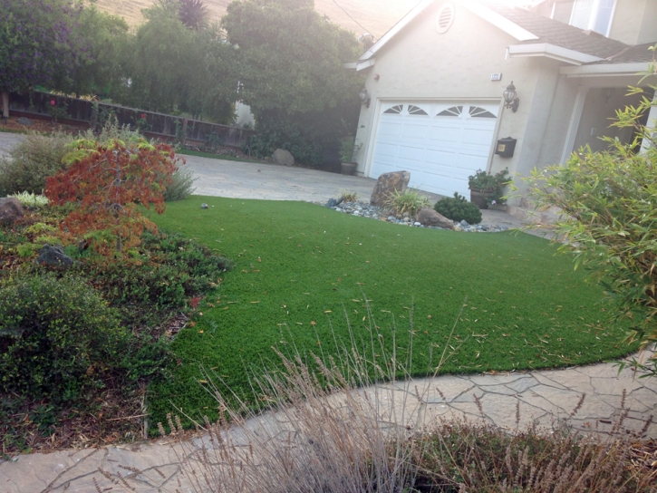 Artificial Lawn West Modesto, California Landscaping, Front Yard Landscaping Ideas