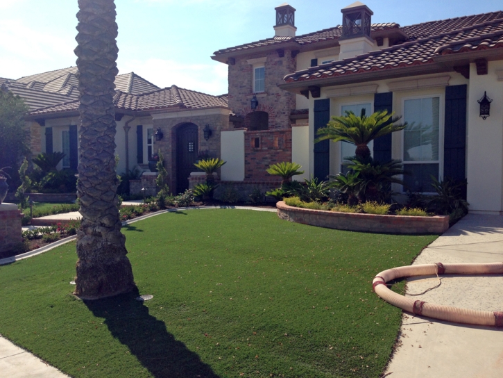 Artificial Lawn Westley, California Landscaping Business, Front Yard Design