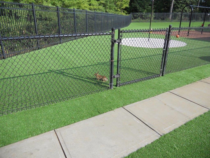 Artificial Turf Bret Harte, California Landscaping, Parks