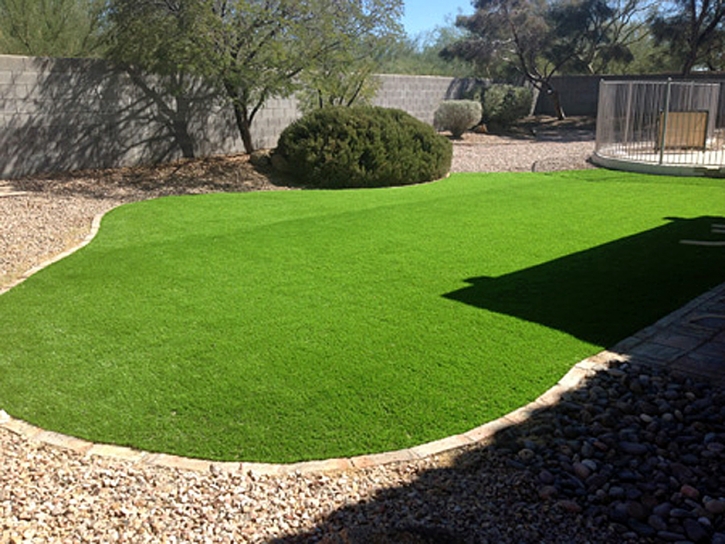 Artificial Turf Bret Harte, California Landscape Rock, Backyard Ideas