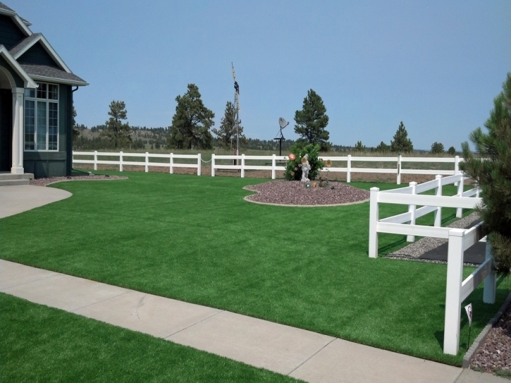 Artificial Turf Ceres, California Home And Garden, Backyard Garden Ideas