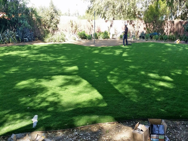 Artificial Turf Cost Ceres, California Landscape Photos, Backyard Garden Ideas