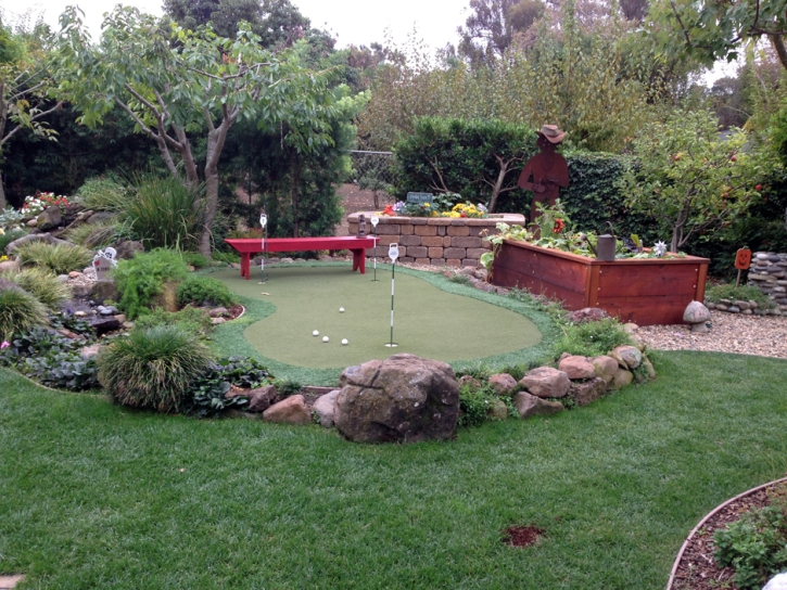 Artificial Turf Cost Denair, California Gardeners, Backyard Garden Ideas