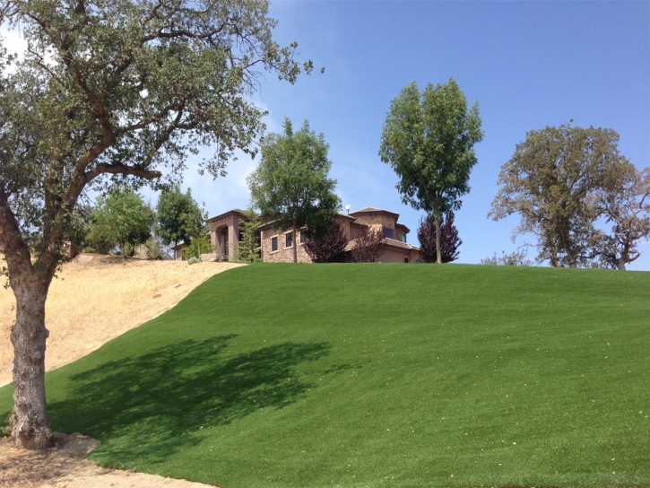 Artificial Turf Cost Grayson, California Landscape Ideas, Front Yard