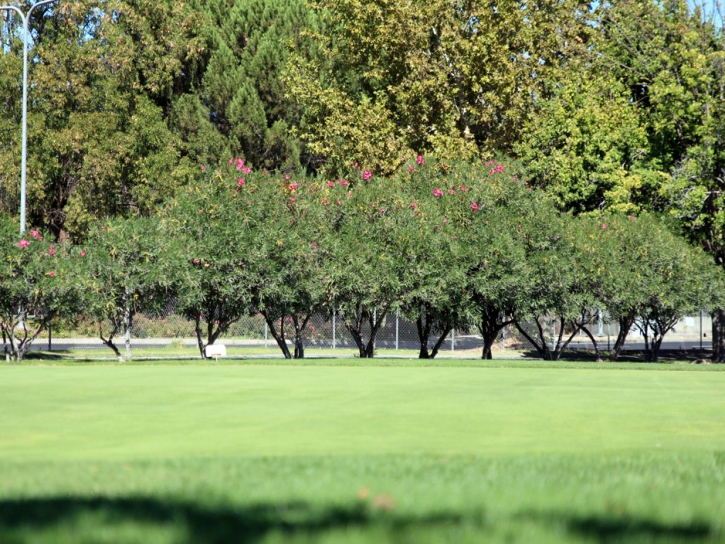 Artificial Turf Cost Grayson, California Paver Patio