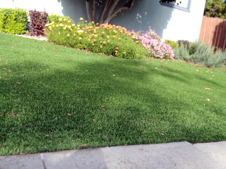 Artificial Turf Cost Newman, California Design Ideas, Front Yard Design