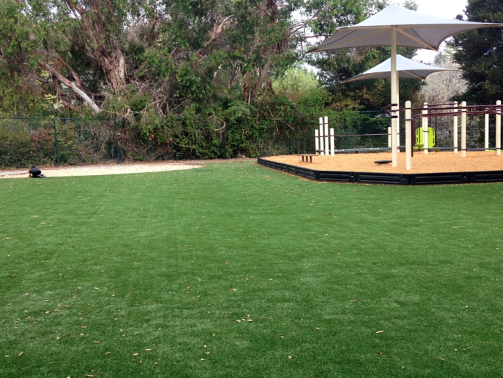 Artificial Turf Cost Oakdale, California Indoor Playground