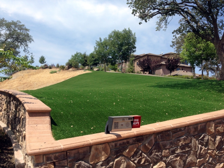 Artificial Turf Cost Patterson, California Home And Garden, Front Yard Design