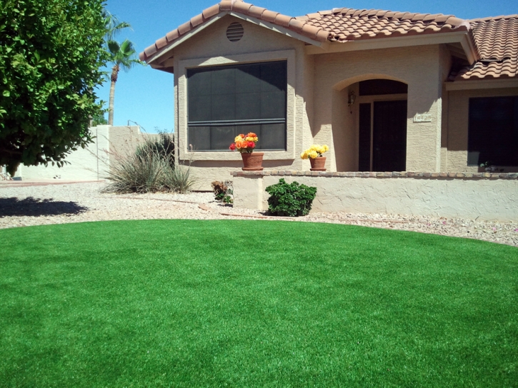 Artificial Turf Cost Patterson, California Landscape Ideas, Small Front Yard Landscaping