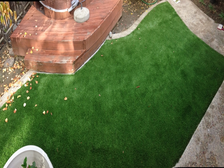 Artificial Turf Cost Riverdale Park, California Home And Garden, Backyards