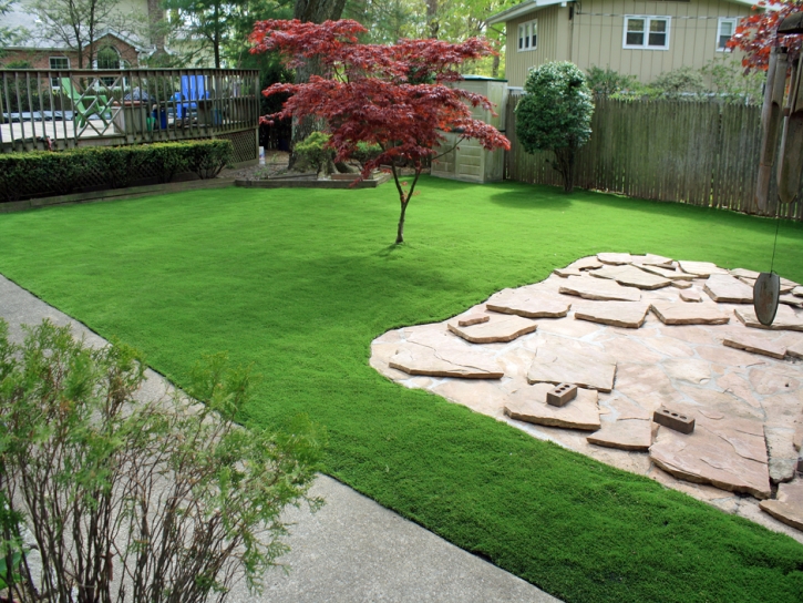 Artificial Turf Cost Westley, California Landscape Ideas, Small Backyard Ideas