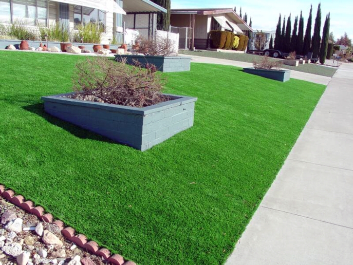 Artificial Turf Hickman, California Landscape Photos, Front Yard Landscaping