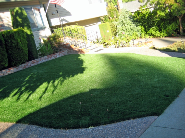 Artificial Turf Installation Denair, California Rooftop, Front Yard Landscaping Ideas