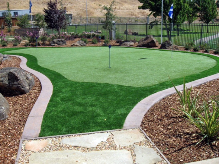 Artificial Turf Installation Hickman, California Landscape Ideas, Backyard Designs