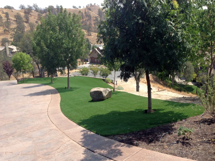 Artificial Turf Installation Riverbank, California Landscaping Business, Front Yard Landscaping Ideas